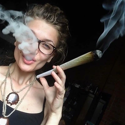 Cần sa Preroll: Hướng dẫn ngành dành cho nhà sản xuất và nhà bán lẻ (2025)